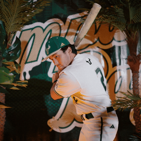 South Florida Baseball GIF by USF Athletics