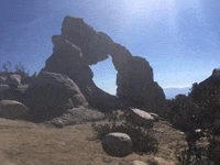 GIF by Justin
