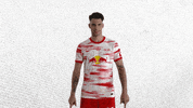Champions League Football GIF by RB Leipzig
