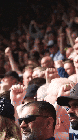 Fans Supporters GIF by West Bromwich Albion
