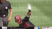 gostanford  GIF