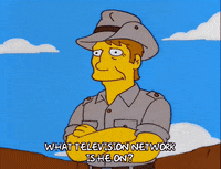 episode 15 television GIF
