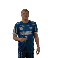 Handball Lemgo Sticker by DAIKIN HBL