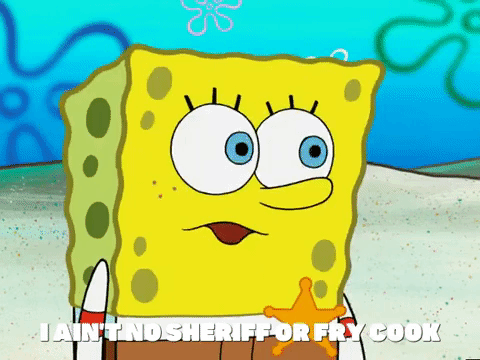 season 5 GIF by SpongeBob SquarePants