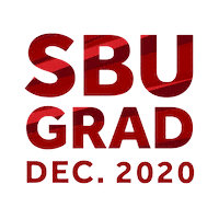 Stony Brook Sticker by Stony Brook University