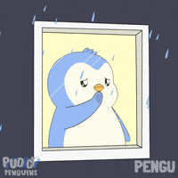 Sad Miss You GIF by Pudgy Penguins