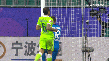 Angry Football GIF by VfL Wolfsburg
