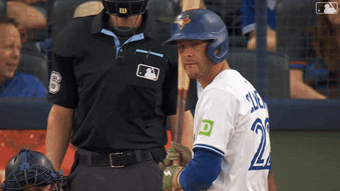 Blue Jays Baseball GIF by Toronto Blue Jays