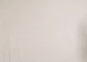 Womens Basketball GIF by Bemidji State Beavers