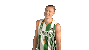 Vamos Lets Go Sticker by ACB