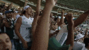 happy celebration GIF by SE Palmeiras