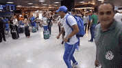 dance feliz GIF by SE Palmeiras