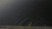 fish fishing GIF by DOPESICK NATION