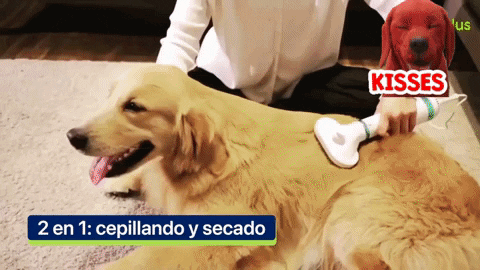 kosselkit giphygifmaker giphyattribution GIF