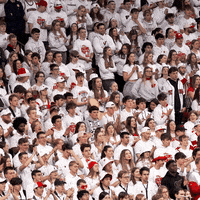 Happy Badgers Basketball GIF by Wisconsin Badgers