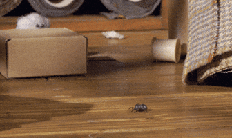 tweedyandfluff cute friends sweet surprise GIF