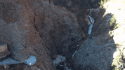 TheBroadmoor travel nature luxury hotel GIF