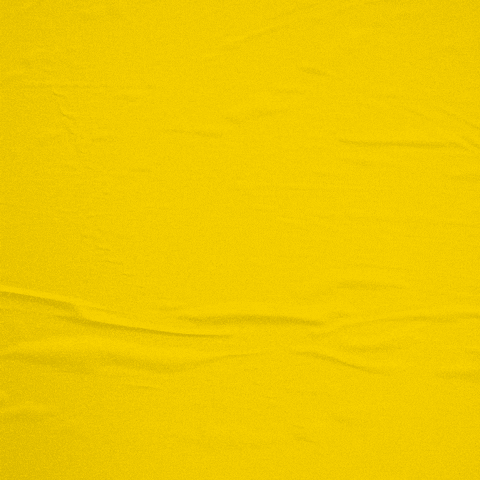 folipro giphyupload GIF