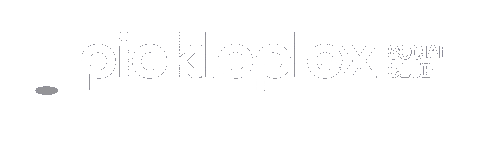 Aurora Pickleball Sticker by Pickleplex Social Club