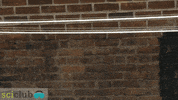 science club message challenge GIF by Science Friday