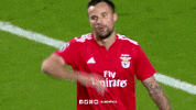 sl benfica slbgifs GIF by Sport Lisboa e Benfica