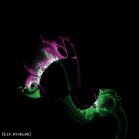 Loop Glow GIF by Psyklon