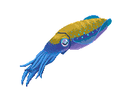 Squid Calamari Sticker