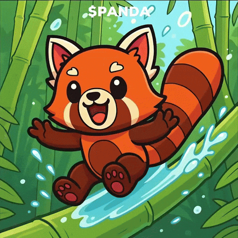 Happy Red Panda GIF by PandaMania