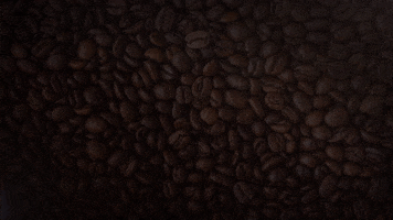 Good Morning GIF by Berk's Beans Coffee