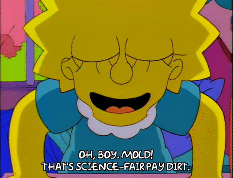 Lisa Simpson Science Experiment GIF by The Simpsons