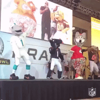 GIF by NFL