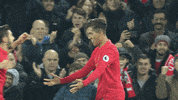 lfc stoke GIF by Liverpool FC