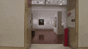 kansas city GIF