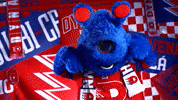 Hockeytown GIF by HC Dynamo Pardubice
