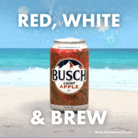 4Th Of July Busch Light GIF by Busch Beer