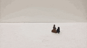 nscad GIF