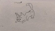 nscad GIF