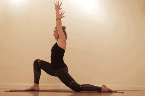 tarmstrong-wagnerskis giphyupload GIF