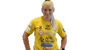 Floorball Salibandy Sticker by F-liiga