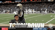 National Football League GIF by NFL