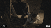 Winter Is Coming Hbo GIF by Game of Thrones