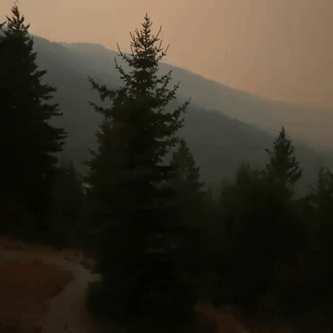 Smoke From White Rock Lake Fire Darkens Skies in British Columbia