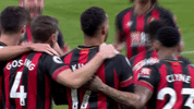 Football Soccer GIF by AFC Bournemouth