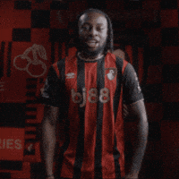 Happy Premier League GIF by AFC Bournemouth