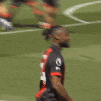 Happy Premier League GIF by AFC Bournemouth