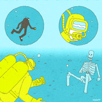 fox mexico GIF by Animation Domination High-Def
