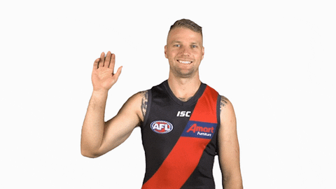 essendonfc giphyupload jake dons bombers GIF