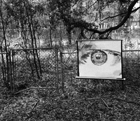 matthias brown GIF by TraceLoops