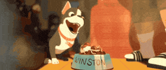 big hero 6 dog GIF by Disney