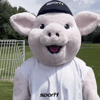 Football Soccer GIF by SPORT1